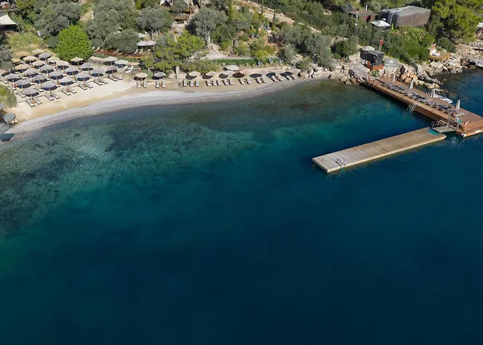 Wam By Karma Bodrum