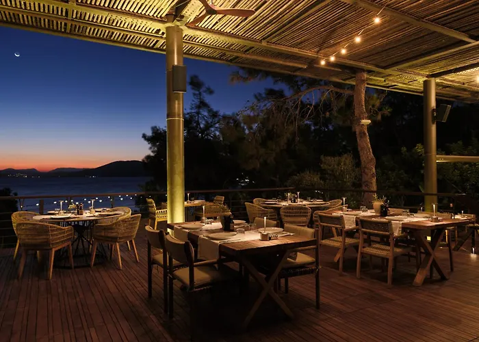 Wam By Karma فيلة *