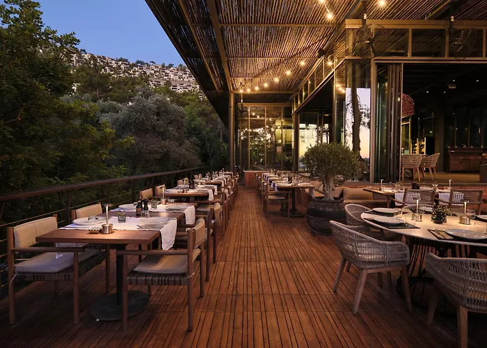 فيلة Wam By Karma